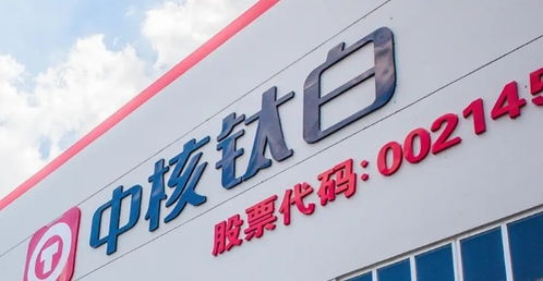 中核鈦白修訂公司章程議案獲通過，財務顧問中心提示股民索賠風險